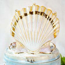Load image into Gallery viewer, Seashell MerBear Box-S.M.