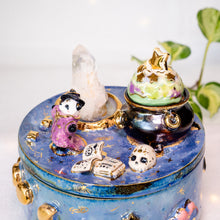 Load image into Gallery viewer, Panda Witch Crystal Box