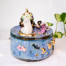 Load image into Gallery viewer, Panda Witch Crystal Box
