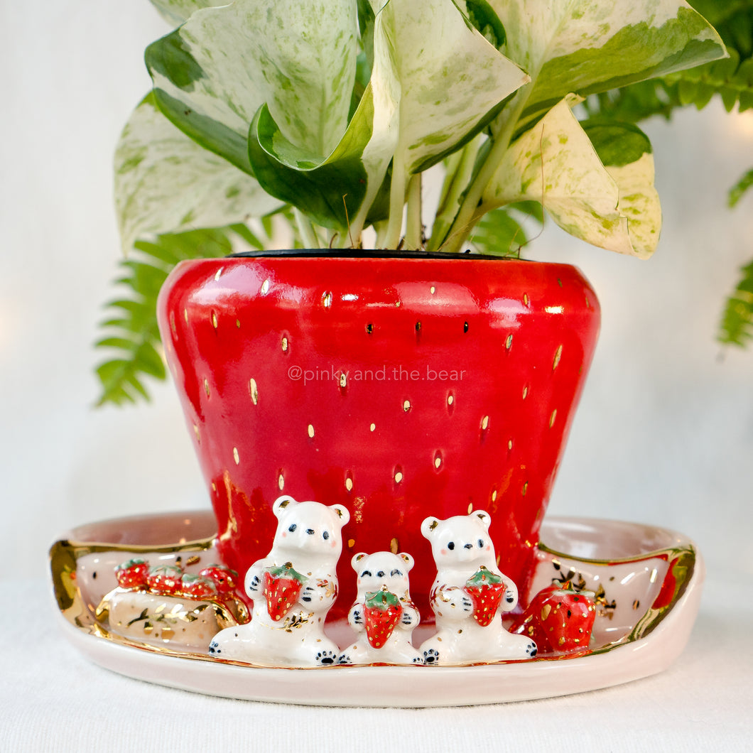 Strawbearry Family Planter